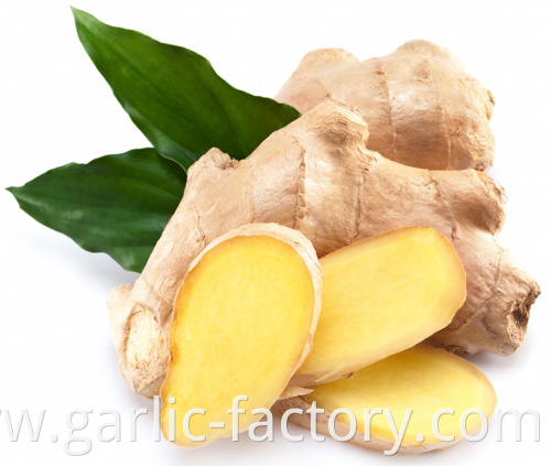 Wholesale organic fresh ginger price